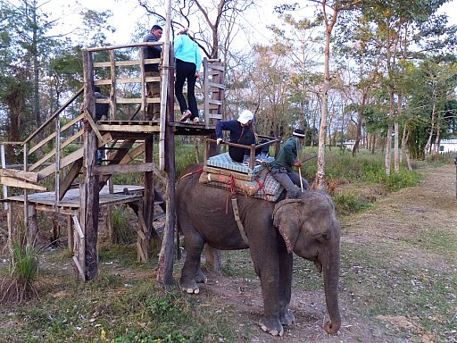 2014 - Besteigen eines Safari-Elefanten im Chitwan Nationalpark - Chitwan Nationalpark