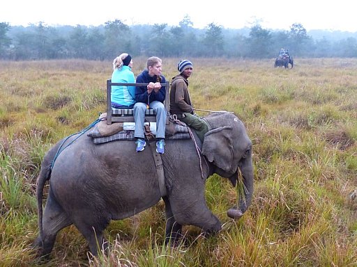 2014 - Elefanten-Safari im Chitwan Nationalpark - Chitwan Nationalpark