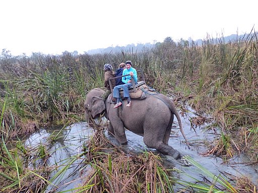 2014 - Auf Elefanten-Safari im Chitwan Nationalpark - Chitwan Nationalpark