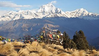 Blick auf den Dhaulagiri vom Poon Hill - Nepal Himalaya-Panoramen