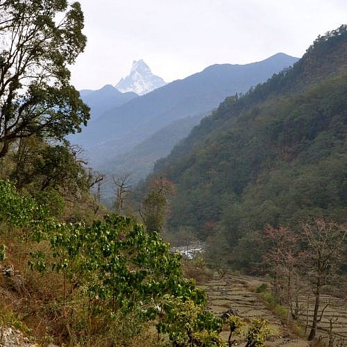 Blick aus dem Modi Khola-Tal auf den Machhapuchare - Pokhara und Annapurna - Landschaft