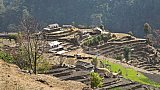 Terassenfelder an den Bergh&auml;ngen der s&uuml;dlichen Annapurna-Region - Pokhara und Annapurna - Landschaft