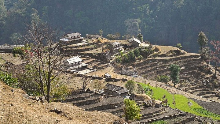 Terassenfelder an den Bergh&auml;ngen der s&uuml;dlichen Annapurna-Region - Pokhara und Annapurna - Landschaft