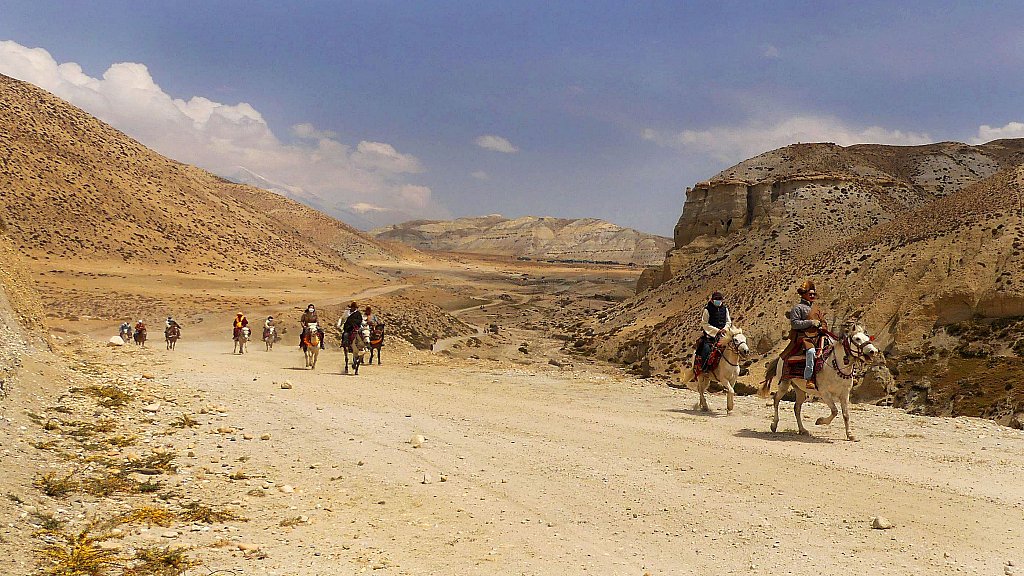 Reiter auf tibetischen Ponies - Nepal - Mustang 2024 - Land und Leute