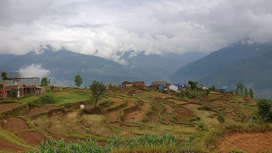 Terassenfelder - Pokhara und Annapurna - Landschaft