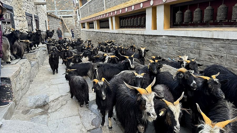 L&auml;ndliche Gassen in Kagbeni - Nepal - Mustang 2024 - Land und Leute
