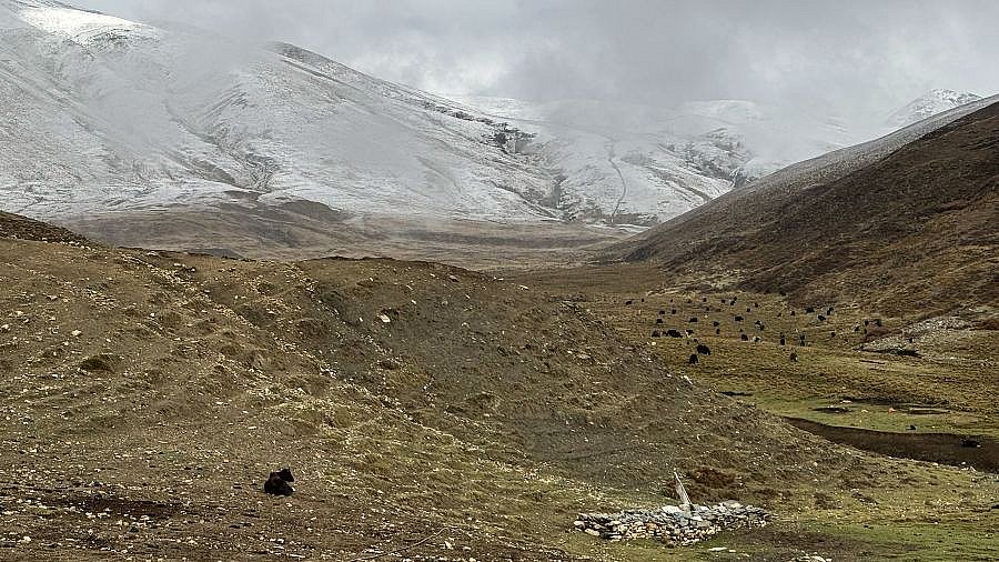 Mustang 2024 - Landschaft
