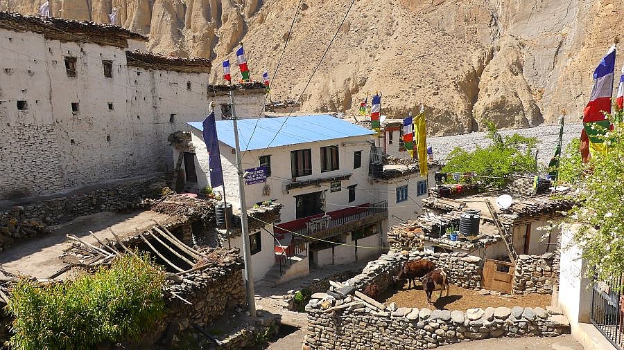 Dorf Lupra im Panda-Tal - Nepal - Mustang 2024 - Land und Leute