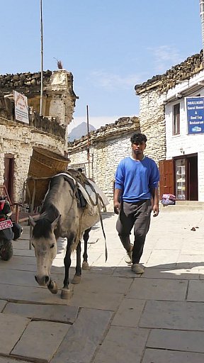 Urige Gassen in Marpha - Nepal - Mustang 2024 - Land und Leute