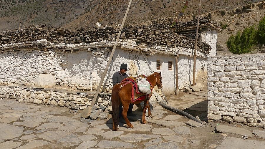 Syang in Lower Mustang - Nepal - Mustang 2024 - Land und Leute