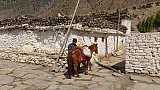 Syang in Lower Mustang - Nepal - Mustang 2024 - Land und Leute