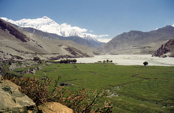 Blick auf den Nilgiri Peak von Kagbeni - Nepal - Mustang - verbotenes K&ouml;nigreich 1993 & 97