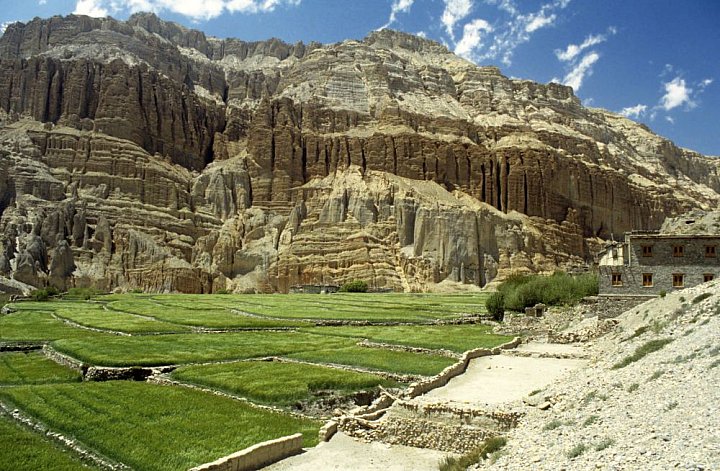 Chele in Mustang und Umgebung - Nepal - Mustang - verbotenes K&ouml;nigreich 1993 & 97