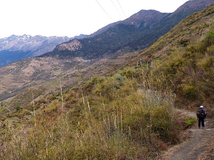 2014 - Der Weg nach Tatopani - Helambu-Langtang: Landschaft