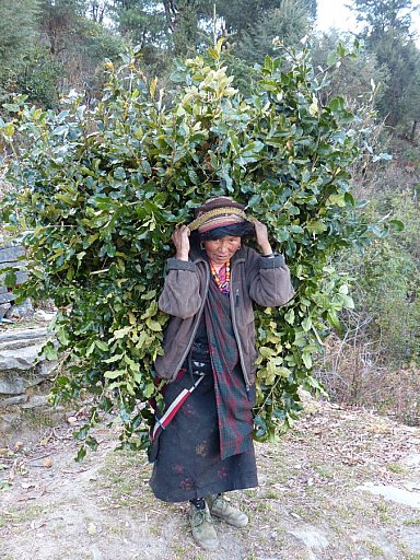2014 - Begegnung mit Tamang-Lady - Helambu-Langtang: Land und Leute