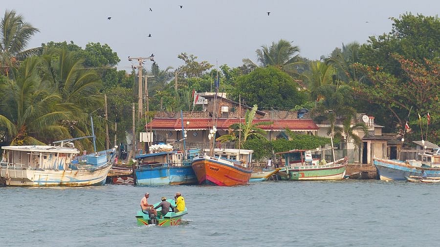 Fischerboote in Negombo - Sri Lanka - Land und Leute