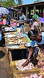 Fisch-Verkaufsst&auml;nde - Sri Lanka - Land und Leute