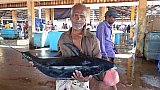 Fischverk&auml;ufer - Sri Lanka - Land und Leute