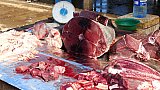 Thunfisch - Sri Lanka - Land und Leute