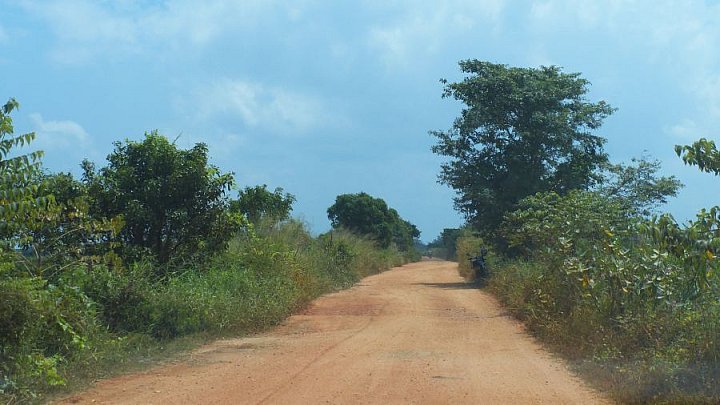 Staubstra&szlig;e in Richtung Ostk&uuml;ste - Sri Lanka - Landschaft