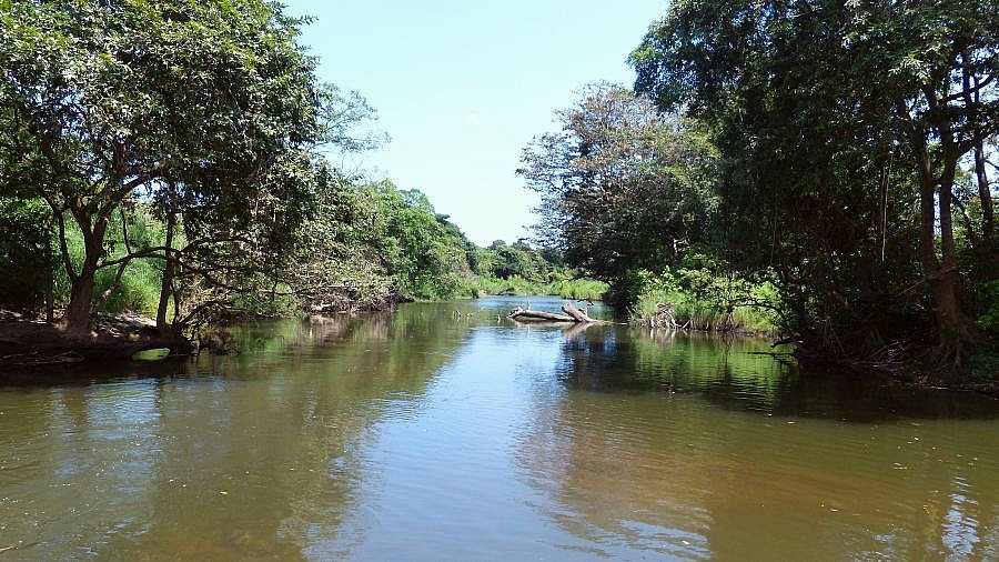 Verschlafene kleine Lagune - Sri Lanka - Landschaft