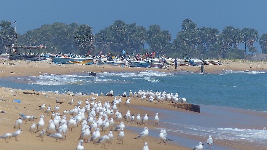 Strandleben an der Ostk&uuml;ste - Sri Lanka - Land und Leute