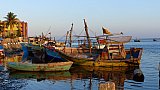 Fischerboote in Jaffna - Sri Lanka - Land und Leute
