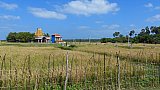 Kleiner bunter Tempel - Sri Lanka - Land und Leute