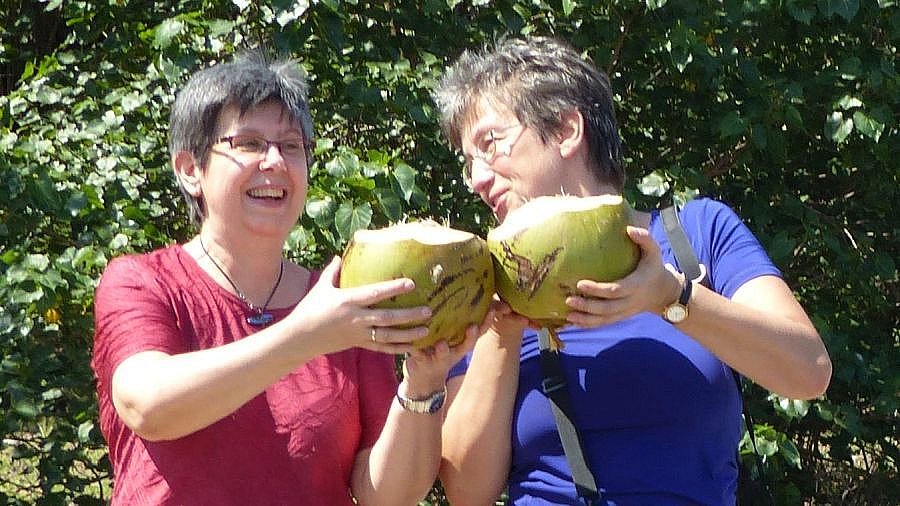 Ansto&szlig;en mit Kokosn&uuml;ssen - Sri Lanka - Blog