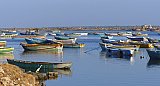 Fischerboote von Gurunagar - Sri Lanka - Land und Leute