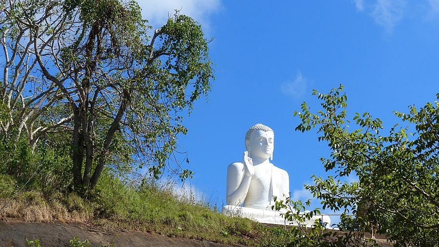 Fast oben und sehr viel mehr Sicht auf den Buddha - Sri Lanka - Sehensw&uuml;rdigkeiten