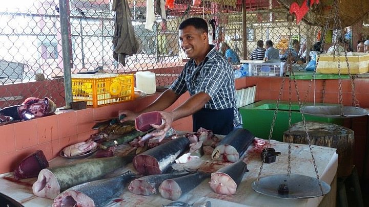 Fischverk&auml;ufer in Trincomalee - Sri Lanka - Land und Leute