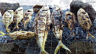 Gegrillter Fisch - Sri Lanka - Essen und Schlafen