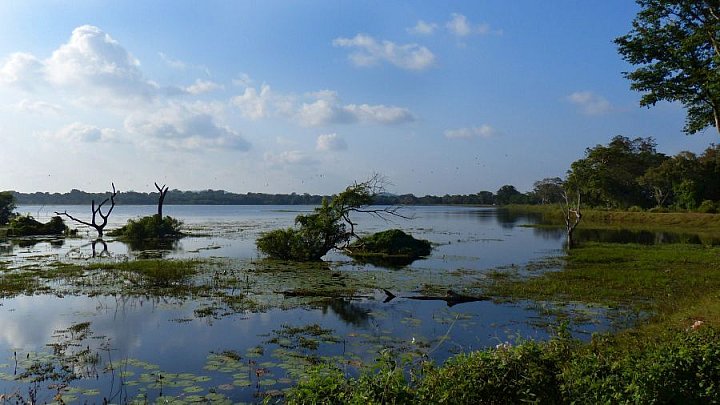 Madukolum Stausee - Sri Lanka - Landschaft