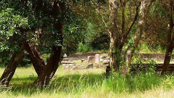 Ausgrabungsst&auml;tte mitten in der Natur - Sri Lanka - Sehensw&uuml;rdigkeiten