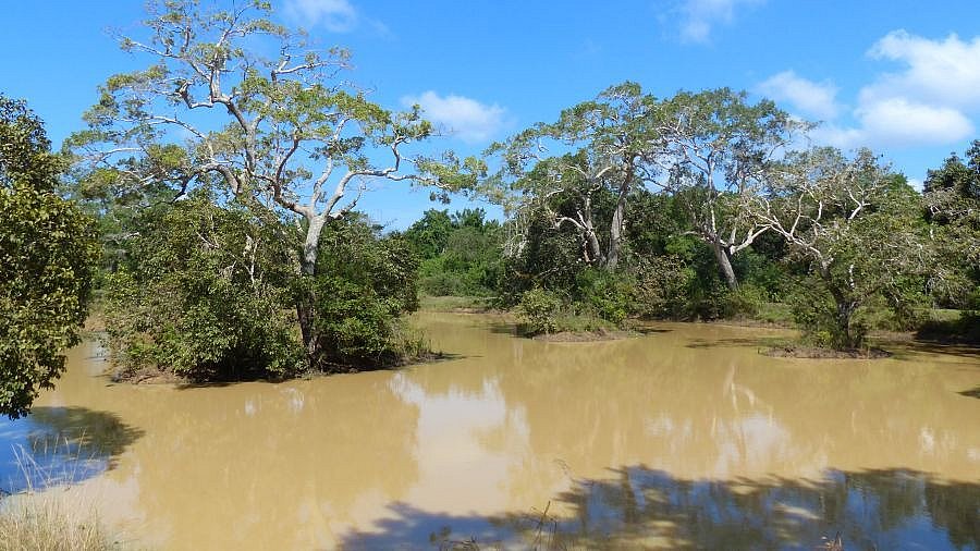 See im Wilpattu Nationalpark - Sri Lanka - Flora und Fauna