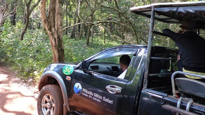 Safari-Jeep im Wilpattu Nationalpark - Sri Lanka - Blog