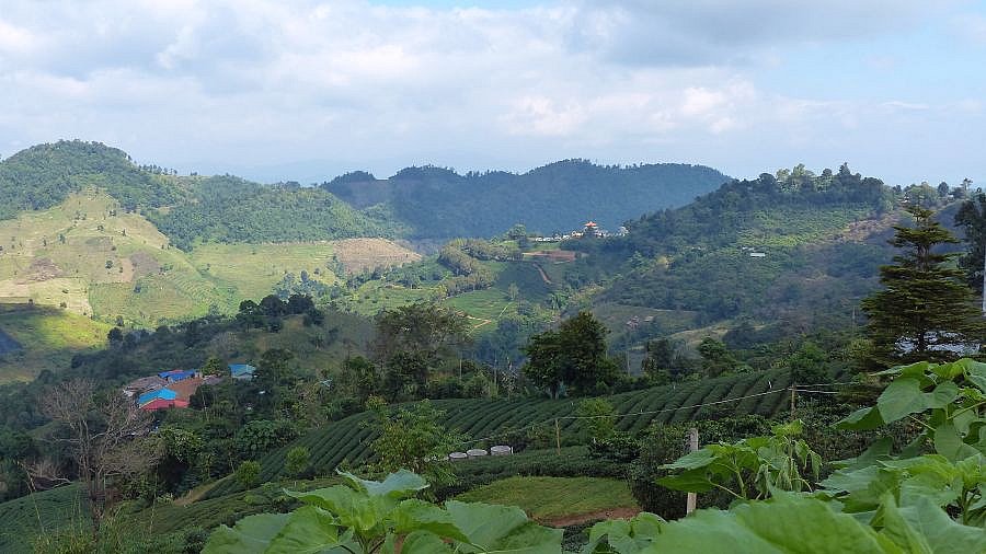 Berglandschaft, Teefelder und D&ouml;rfer in Nordthailand - Nordthailand