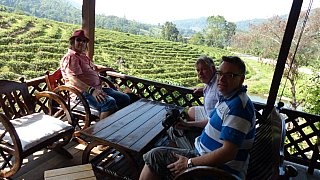 Drei Mitbewohner und Mitreisende in Nordthailand - Thailand-Blog