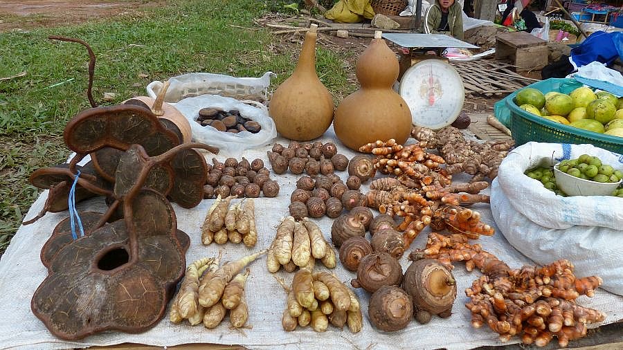 Exotische Fr&uuml;chte und Gem&uuml;se auf dem Bergv&ouml;lkermarkt in Nordthailand - Nordthailand