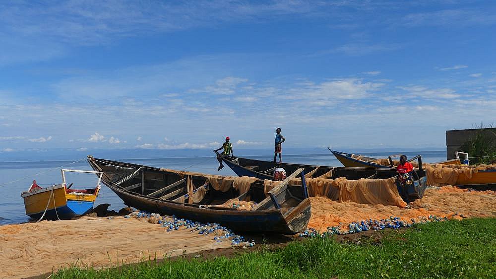Fischerboote am Albertsee in Uganda - Uganda - Land und Leute
