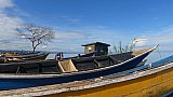Fischerboote am Albertsee in Uganda - Uganda - Land und Leute