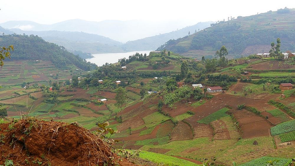 Ufer-Region am Bunyunyi See - Uganda - Landschaft