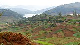 Ufer-Region am Bunyunyi See - Uganda - Landschaft