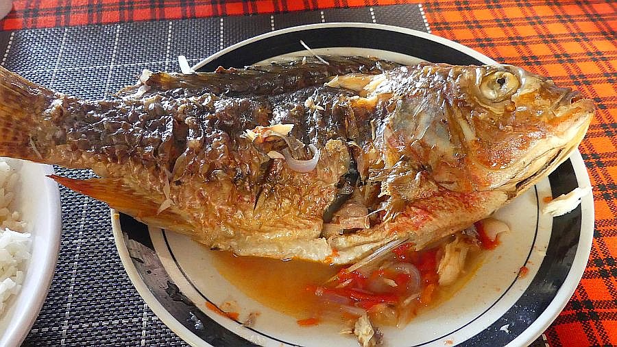 Gegrillter Fisch aus dem Edward See - Uganda - Schlafen und Essen
