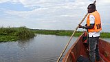 Bootsfahrt im Mbamba Swamp - Uganda - Landschaft