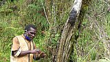 Batwa-Experience im MgaHinga Nationalpark - Uganda - Land und Leute