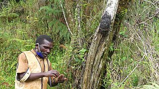 Batwa-Experience im MgaHinga Nationalpark - Uganda - Land und Leute