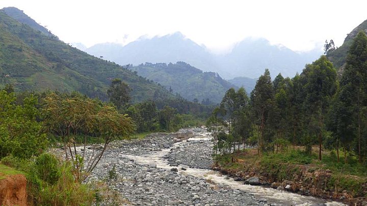 Blick auf die Ruwenzori Berge in Uganda - Uganda - Landschaft