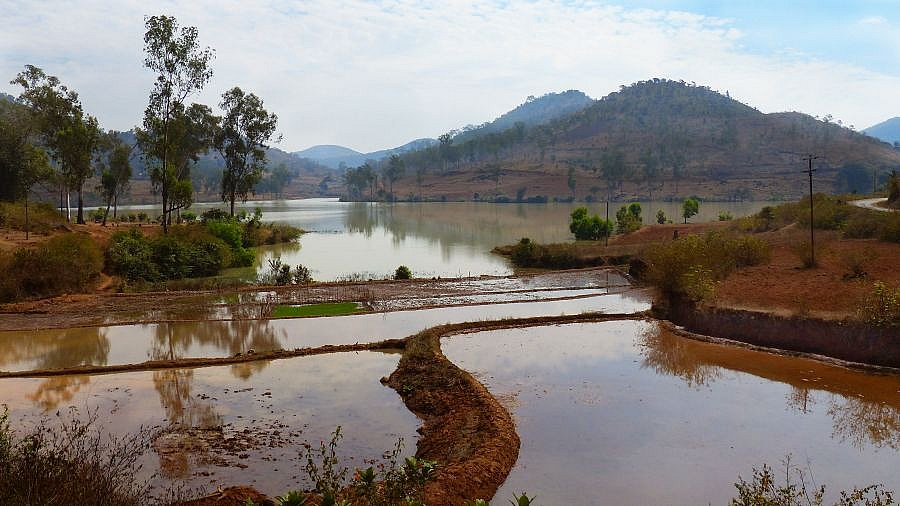 Reisfelder in Odisha bei Onukudelli - Chhattisgarh: Landschaft